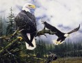 eagle with yellow beak birds